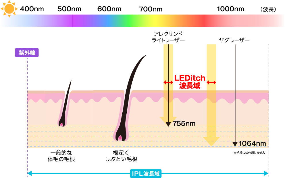 LED-DLP*機能とは2つの波長域を同時に出力する機能です！